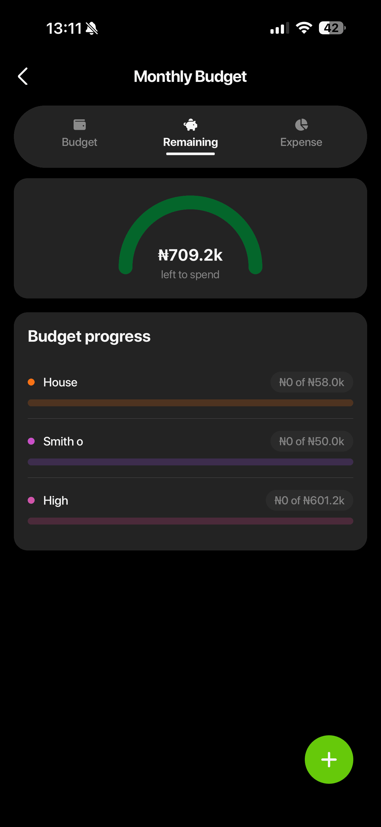 Budtra monthly budget and remaining funds overview